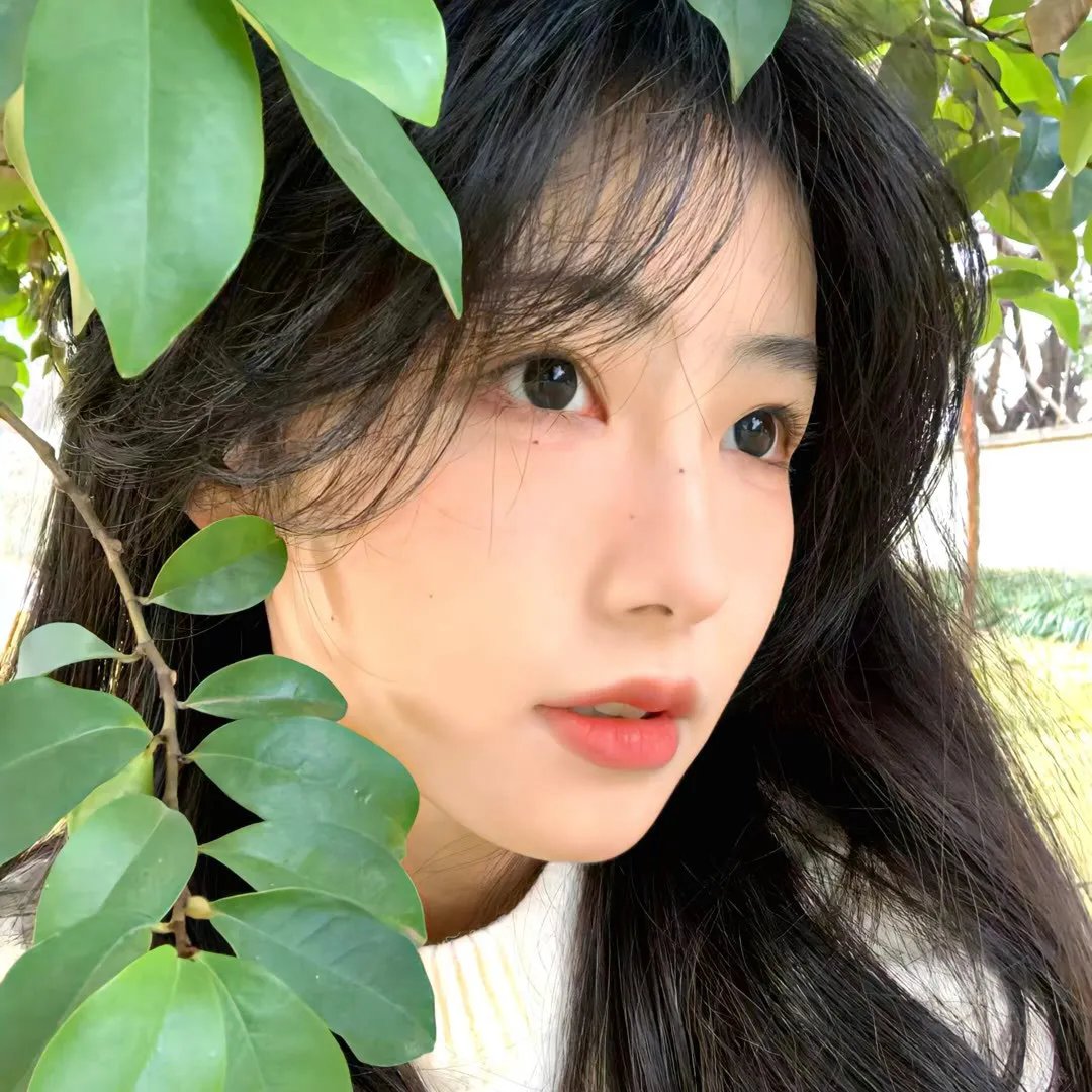 沙尘少爷